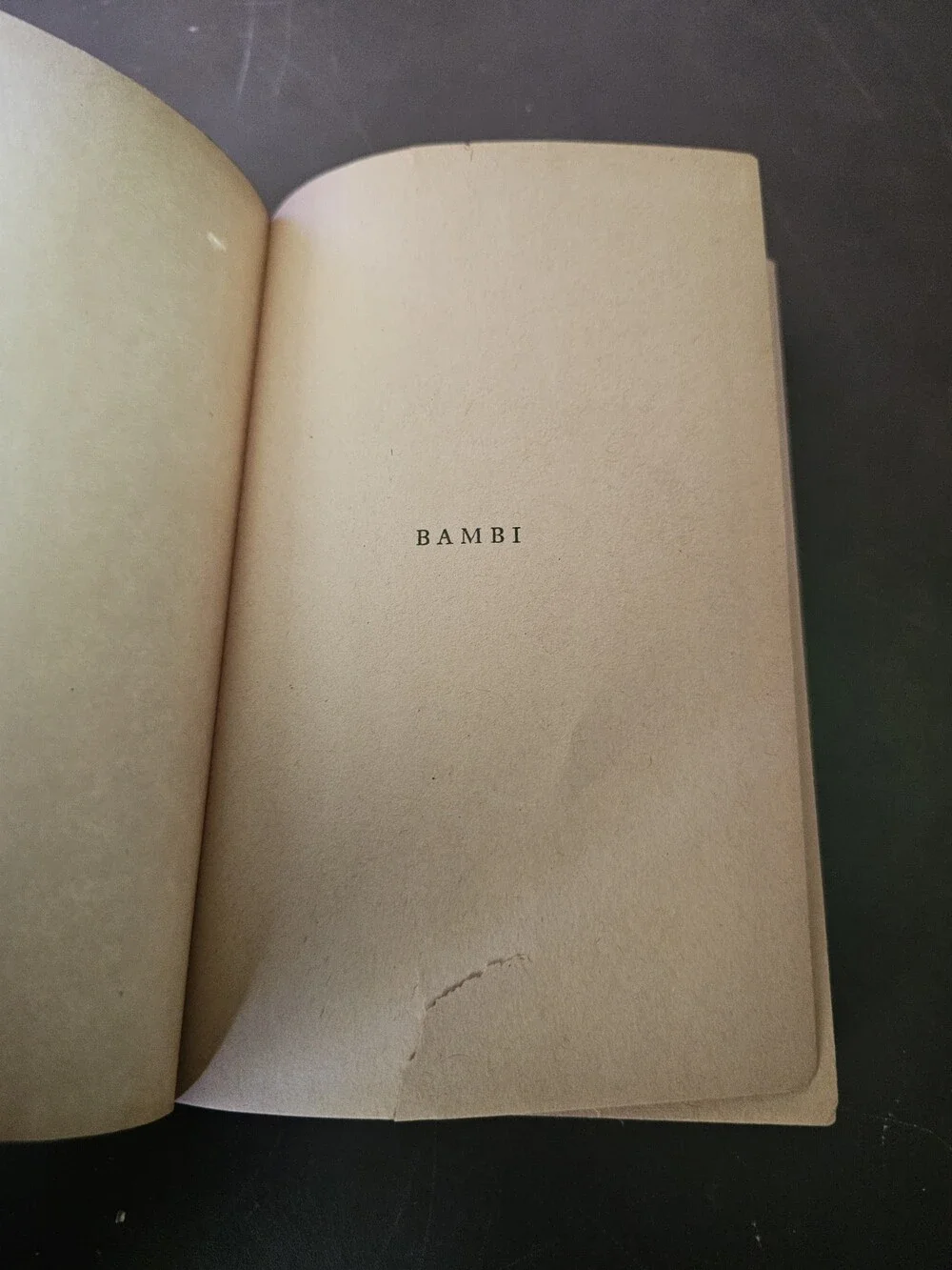 BAMBI Felix Salten Hardcover 1929 Simon & Schuster Spine Damage